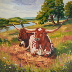 texas longhorns