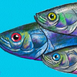 drei heringe maritimes pop art portrait